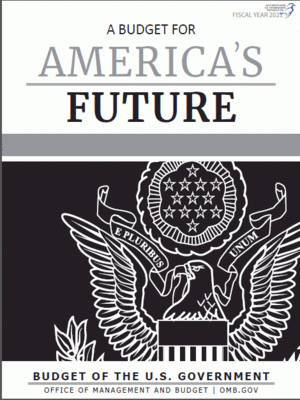 cover image of A Budget for American's Future